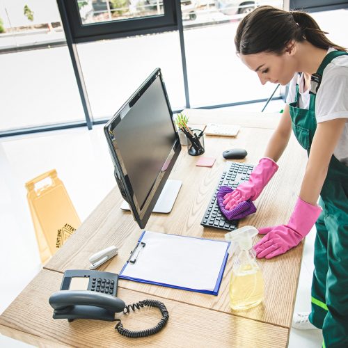 sds-nettoyage-nettoyage-professionnel-photos-36