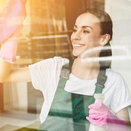 sds-nettoyage-nettoyage-professionnel-photos-5